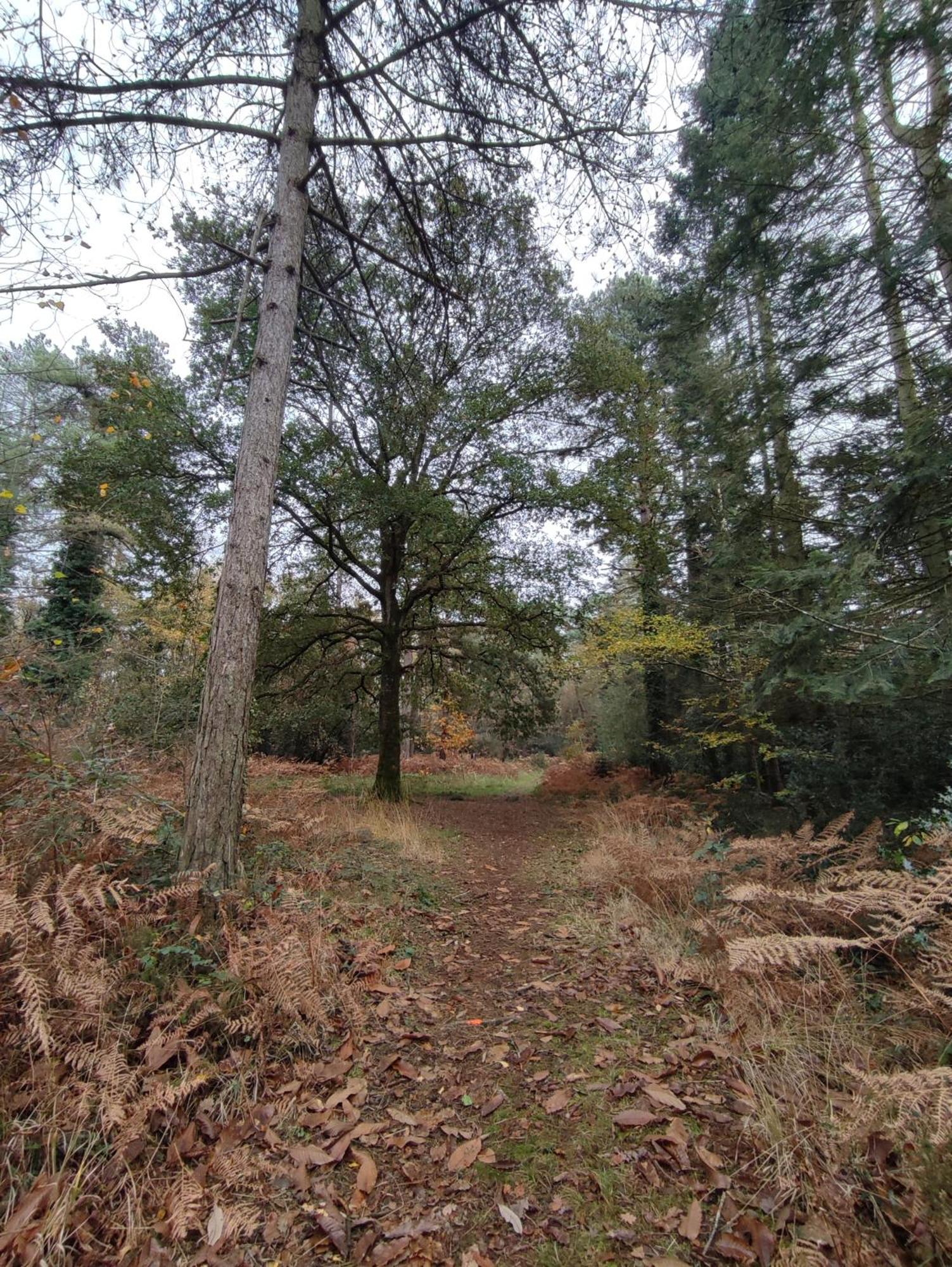 Gite Des Mezieres Brusvily Extérieur photo