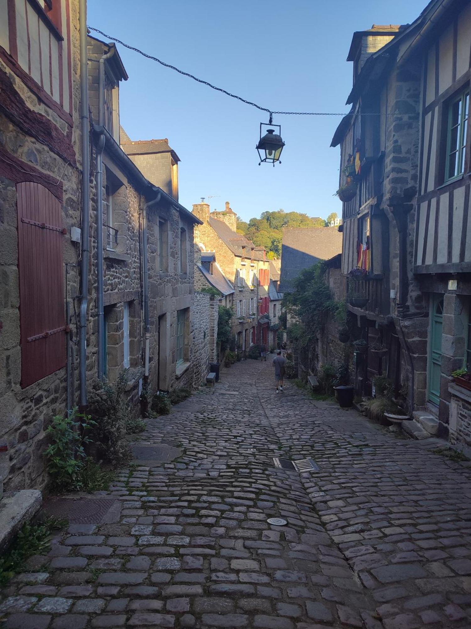Gite Des Mezieres Brusvily Extérieur photo